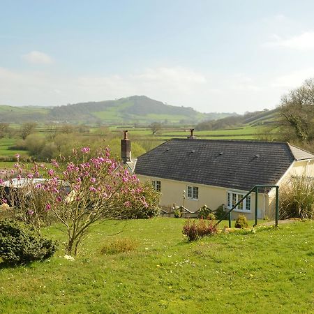 Bryn Hebog Bed & Breakfast Carmarthen Ngoại thất bức ảnh