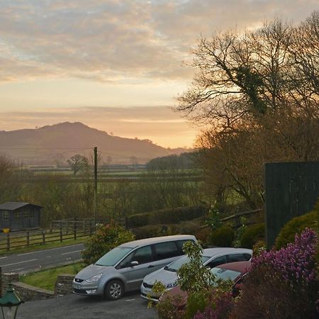 Bryn Hebog Bed & Breakfast Carmarthen Ngoại thất bức ảnh