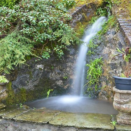 Bryn Hebog Bed & Breakfast Carmarthen Ngoại thất bức ảnh