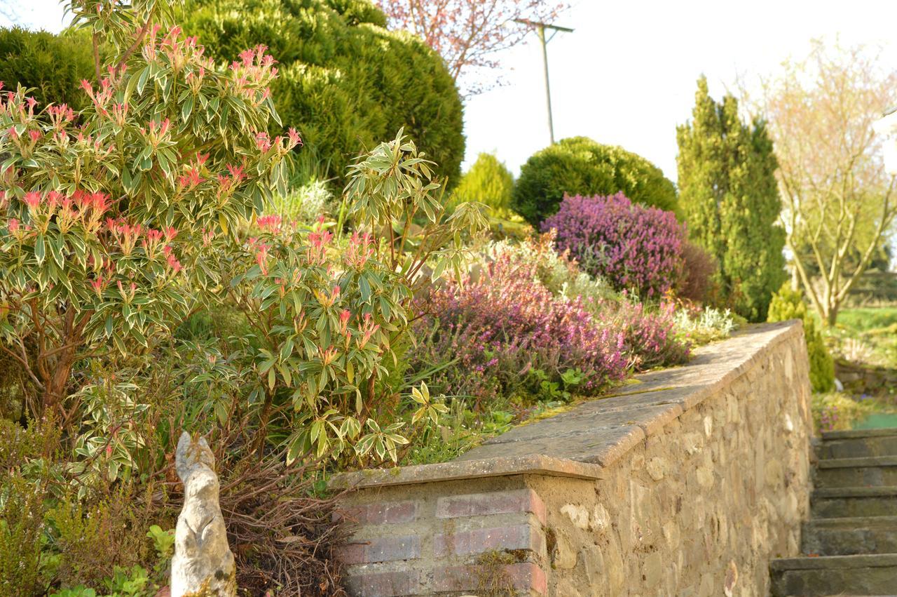 Bryn Hebog Bed & Breakfast Carmarthen Ngoại thất bức ảnh