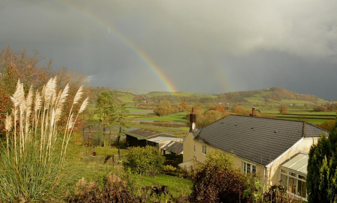 Bryn Hebog Bed & Breakfast Carmarthen Ngoại thất bức ảnh
