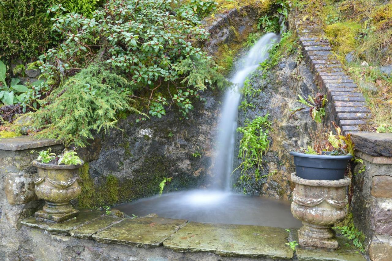 Bryn Hebog Bed & Breakfast Carmarthen Ngoại thất bức ảnh
